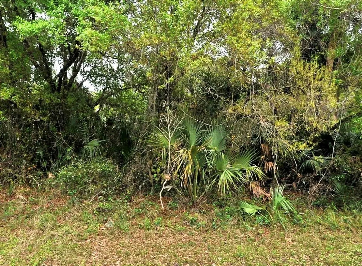 Backert Rd., FL