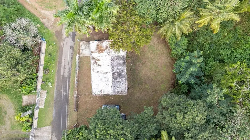 63 Sector Villa Borinquen, PR