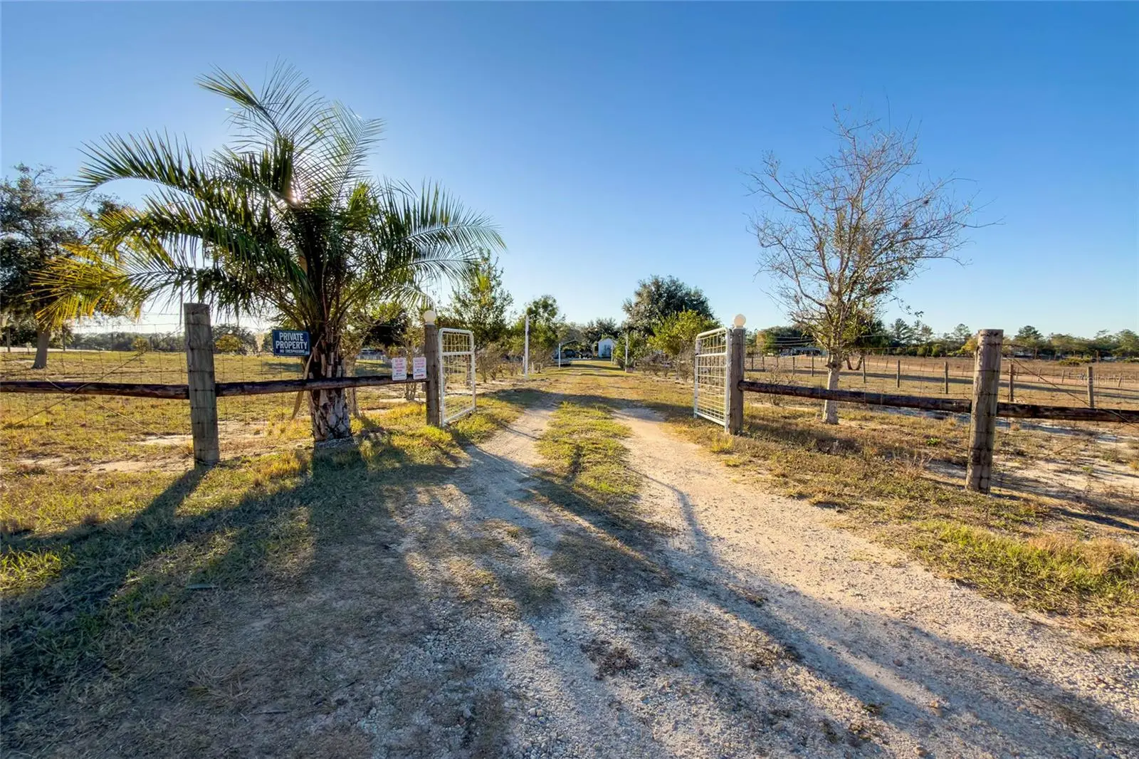 708 Fazzini Road, FL