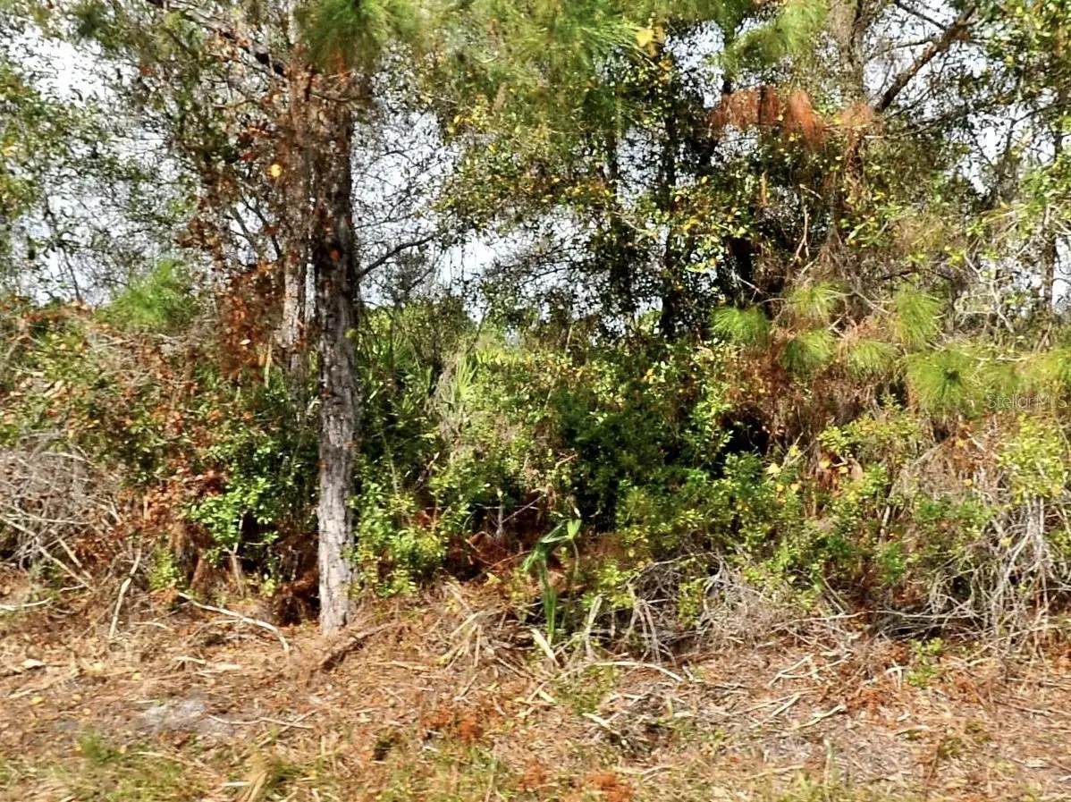 Ohio Road, FL