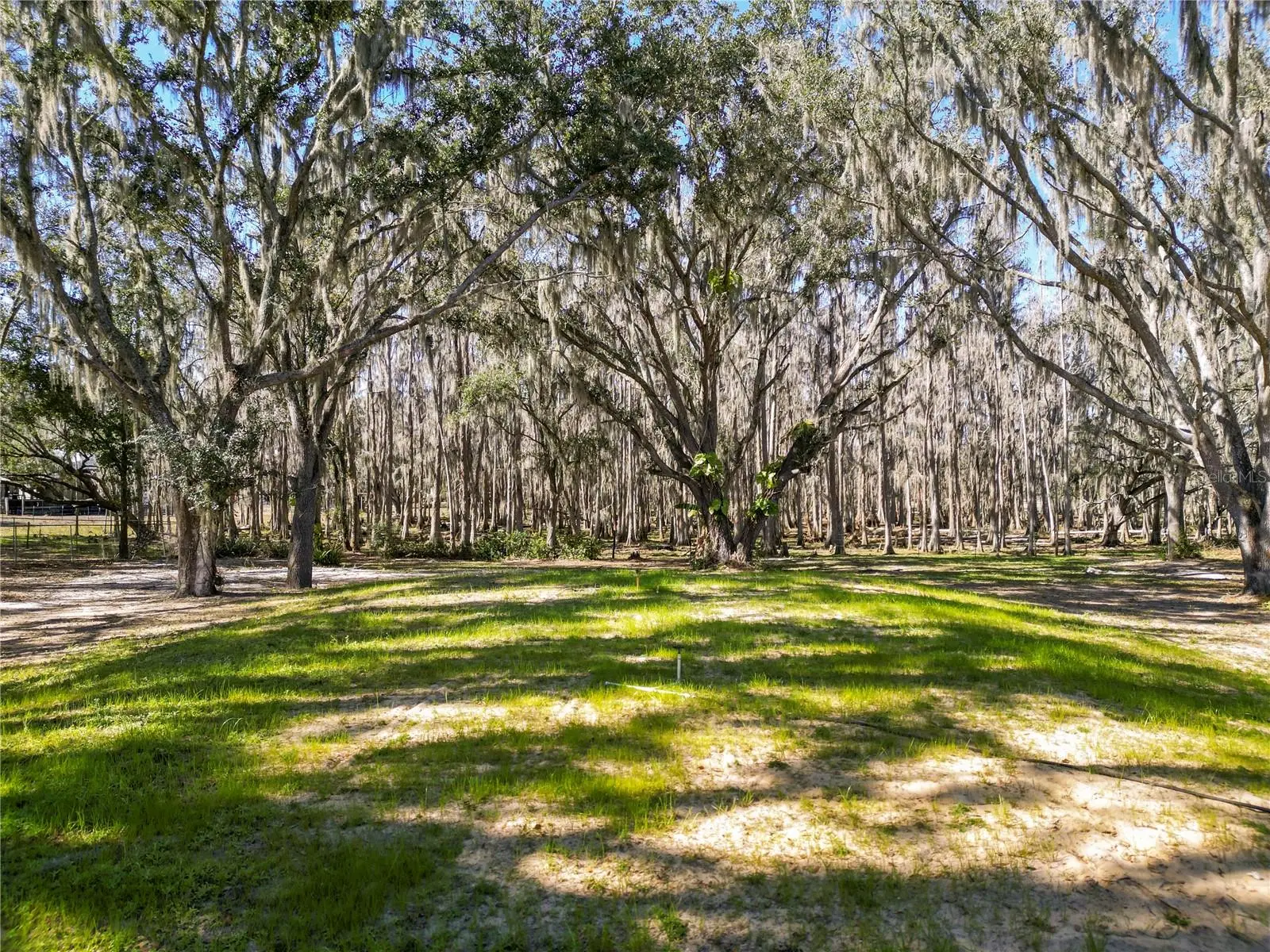 7405 Shoupe Road, FL