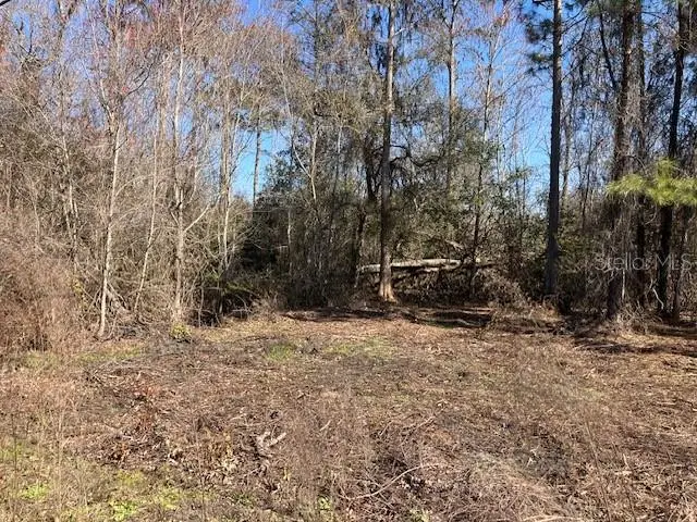 1881 Hazelnut Street, FL