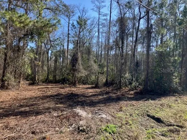 1881 Hazelnut Street, FL