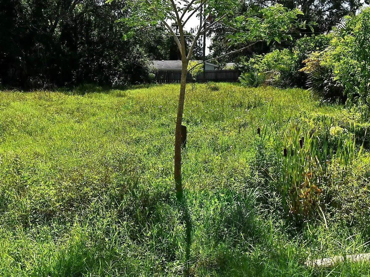 Olive Avenue, FL