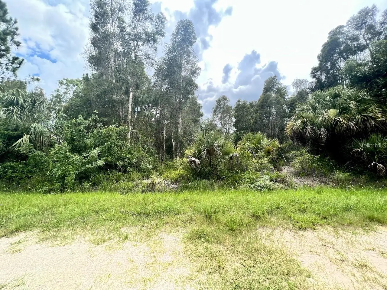 12593 Gucci Drive, FL