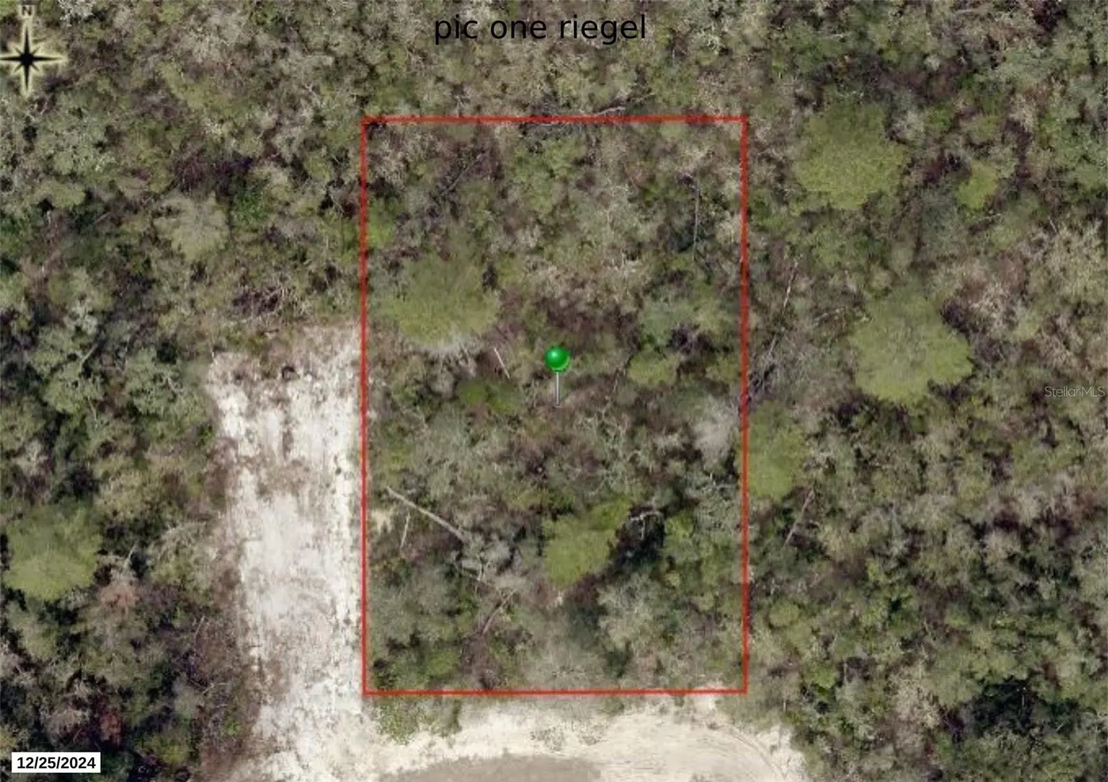 Riegel (Paper) Avenue, FL