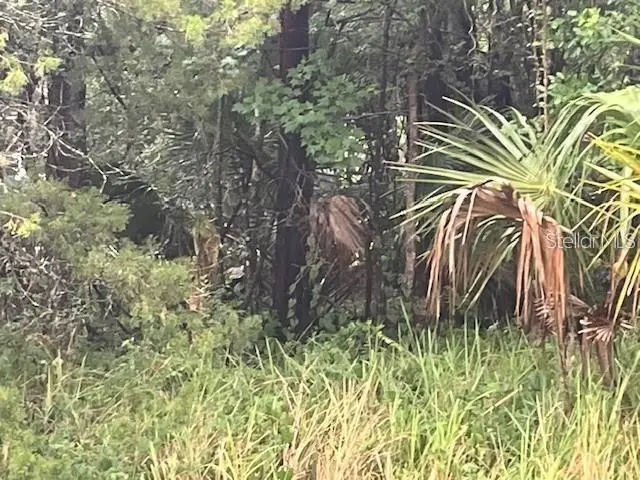 Sharon Street, FL