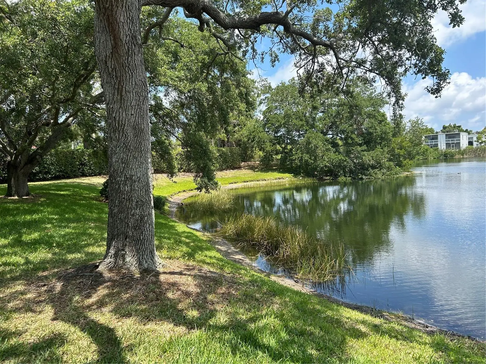645 Keene Road, FL