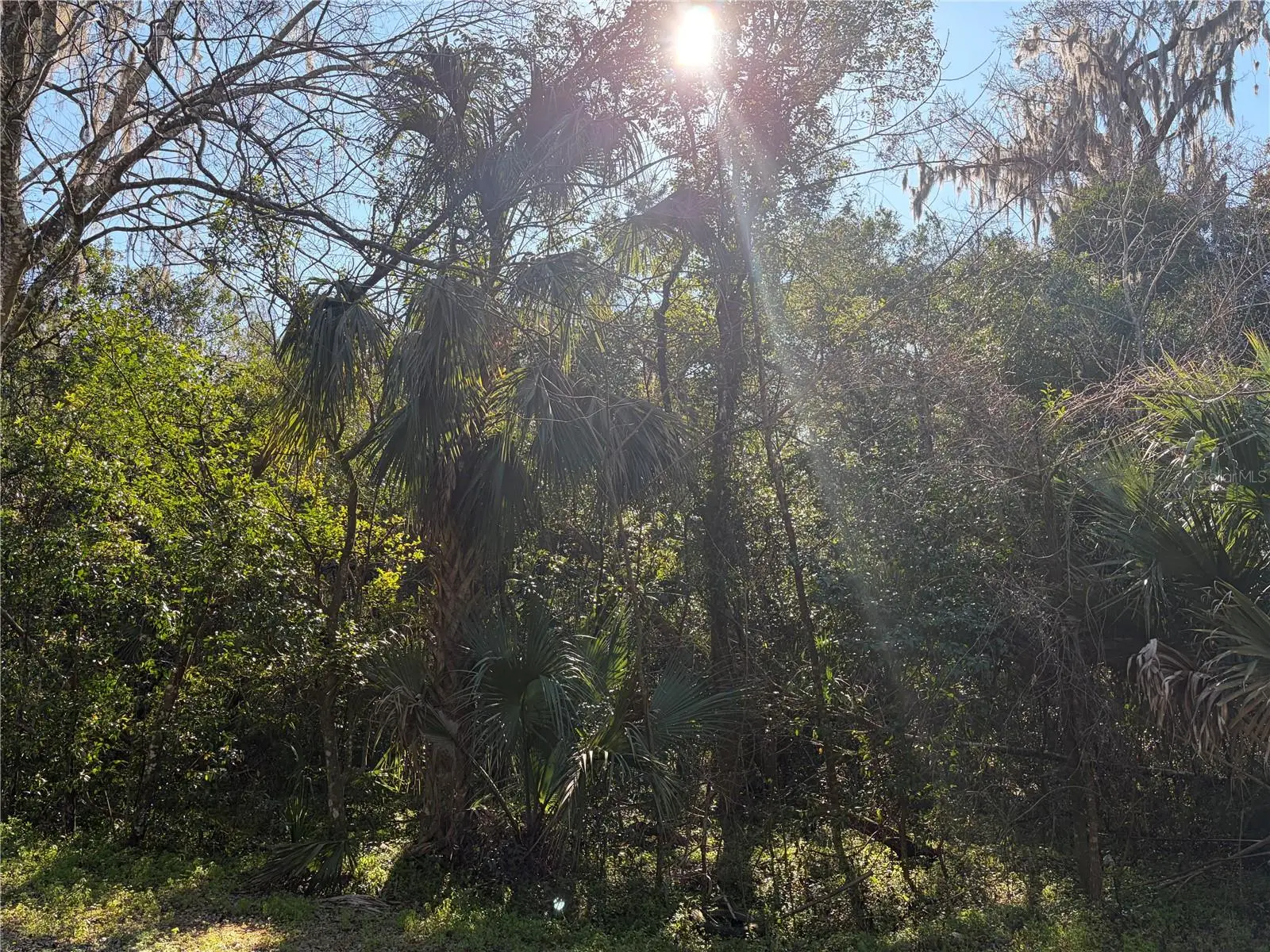 Lot 13 Quebec Avenue, FL