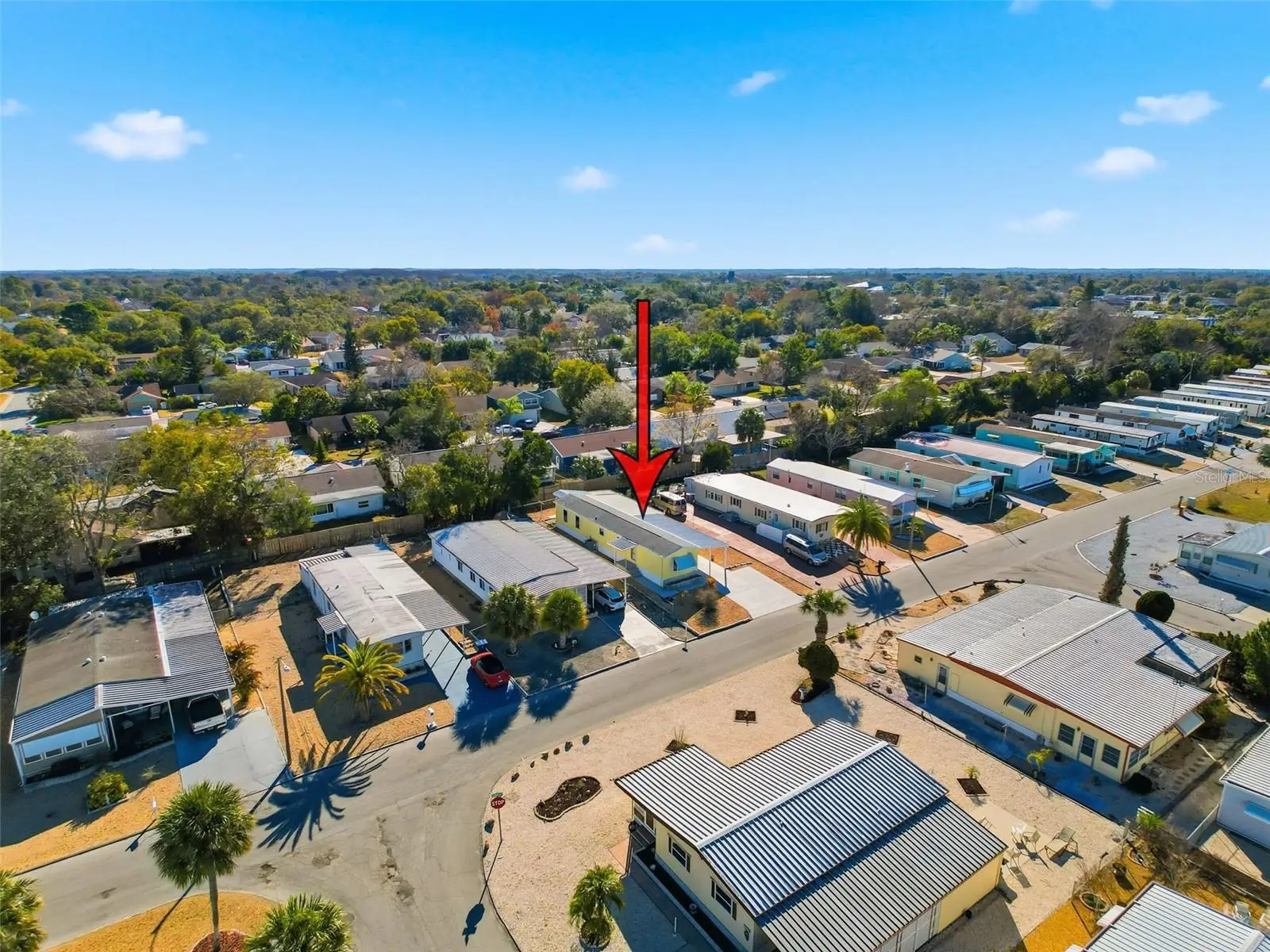 12304 Longhorn Drive, FL