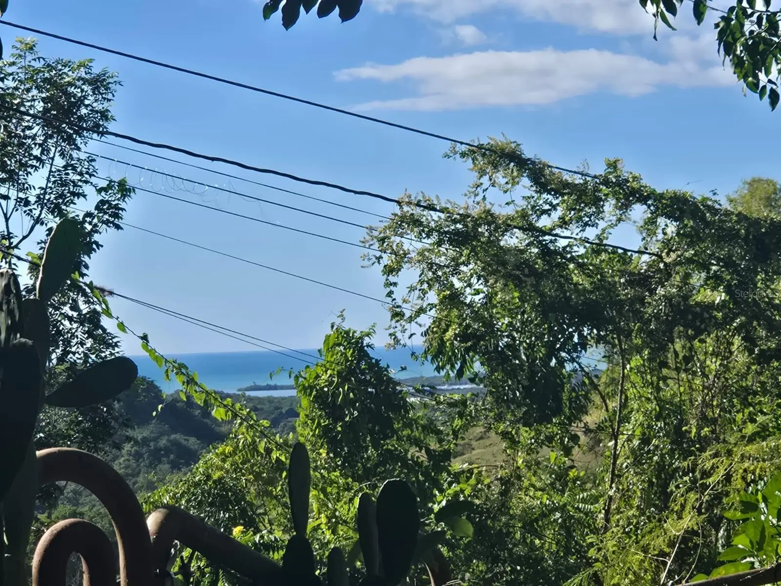 Bo. Llanos Tuna, Sector Las Magas, PR