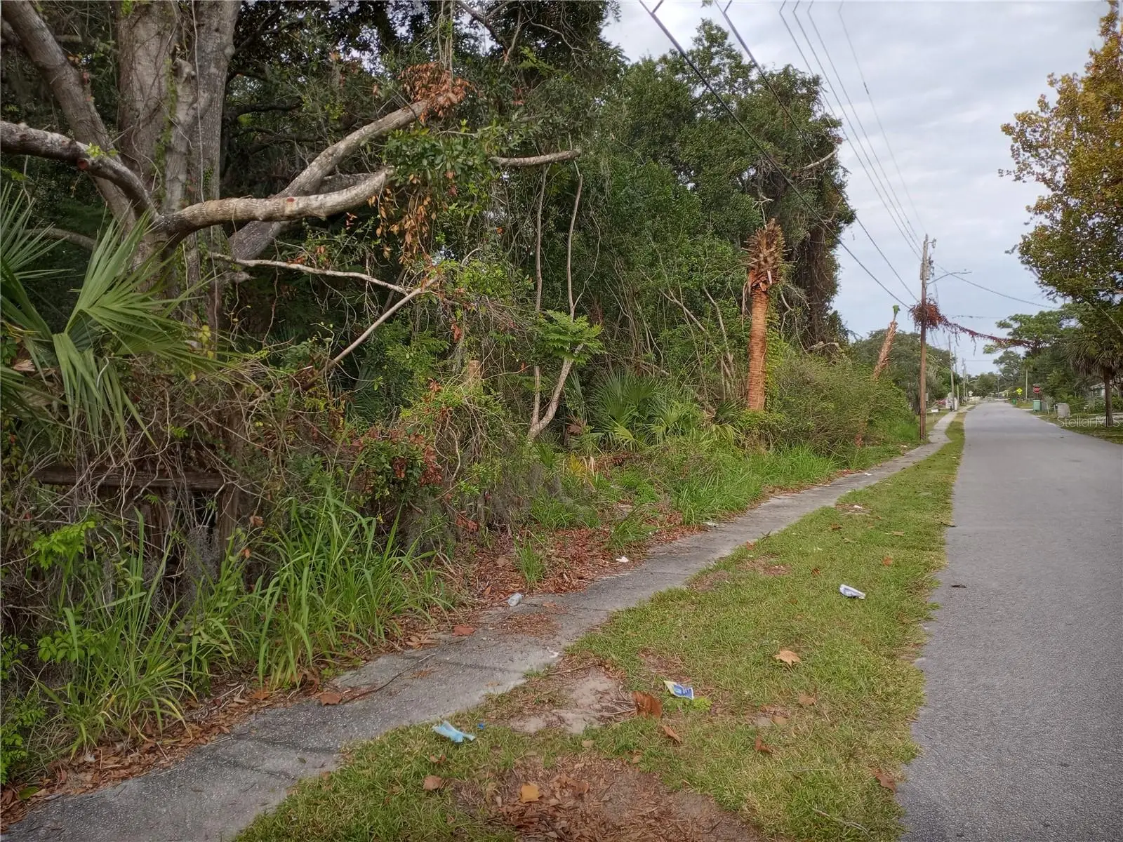 Carver Street, FL