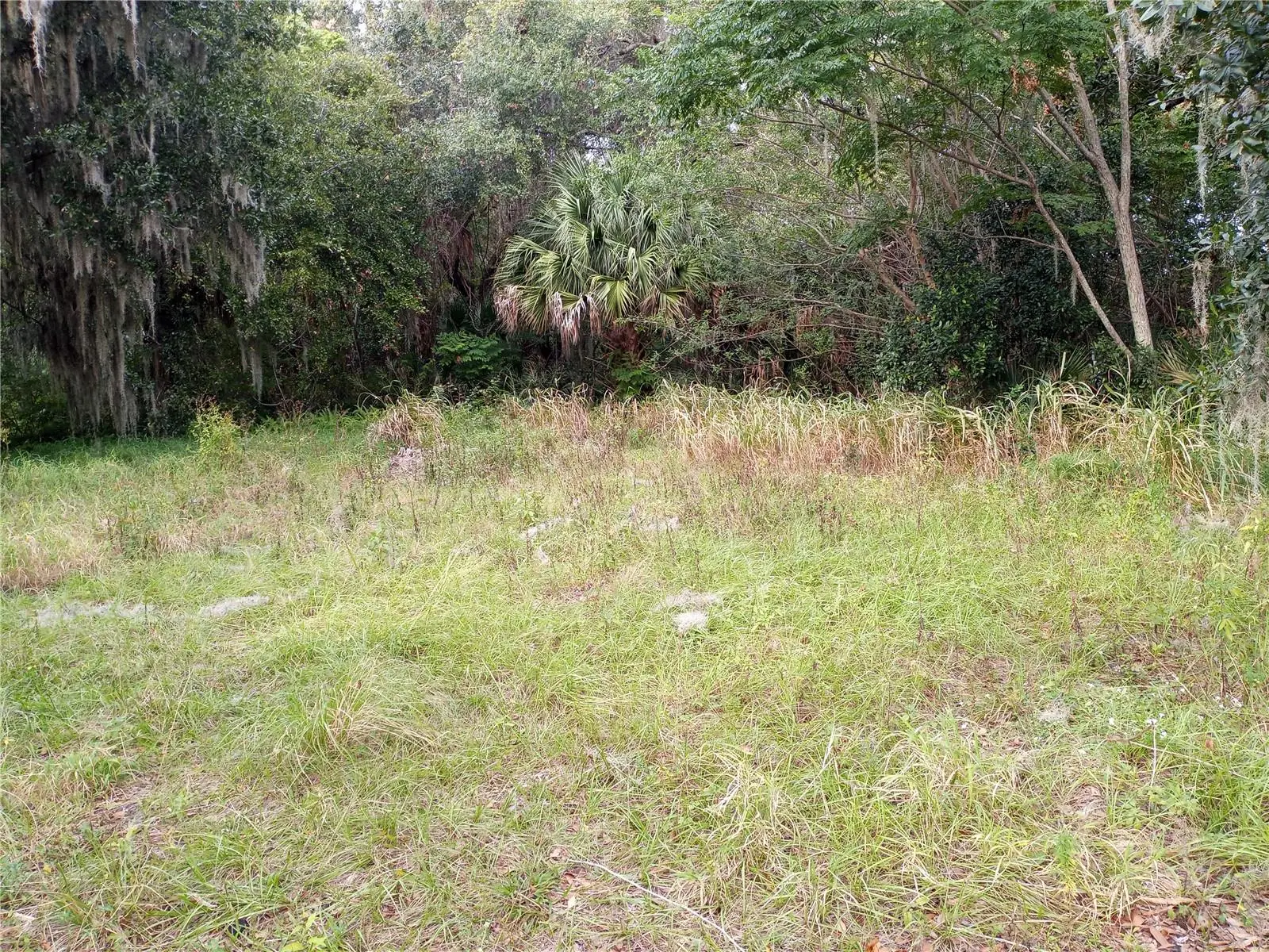 Carver Street, FL