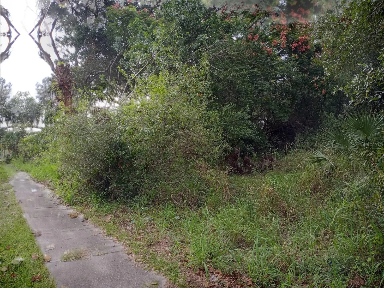 Carver Street, FL