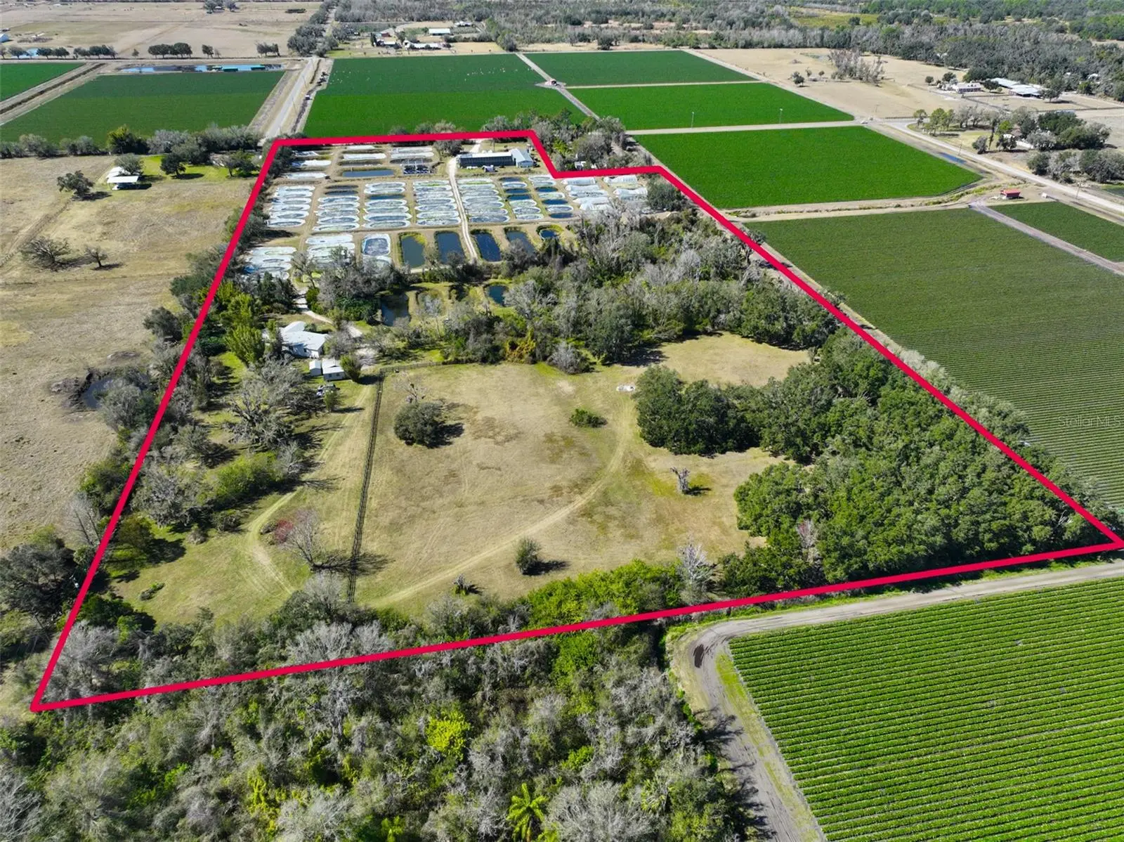 20112 Hobbs Road, FL