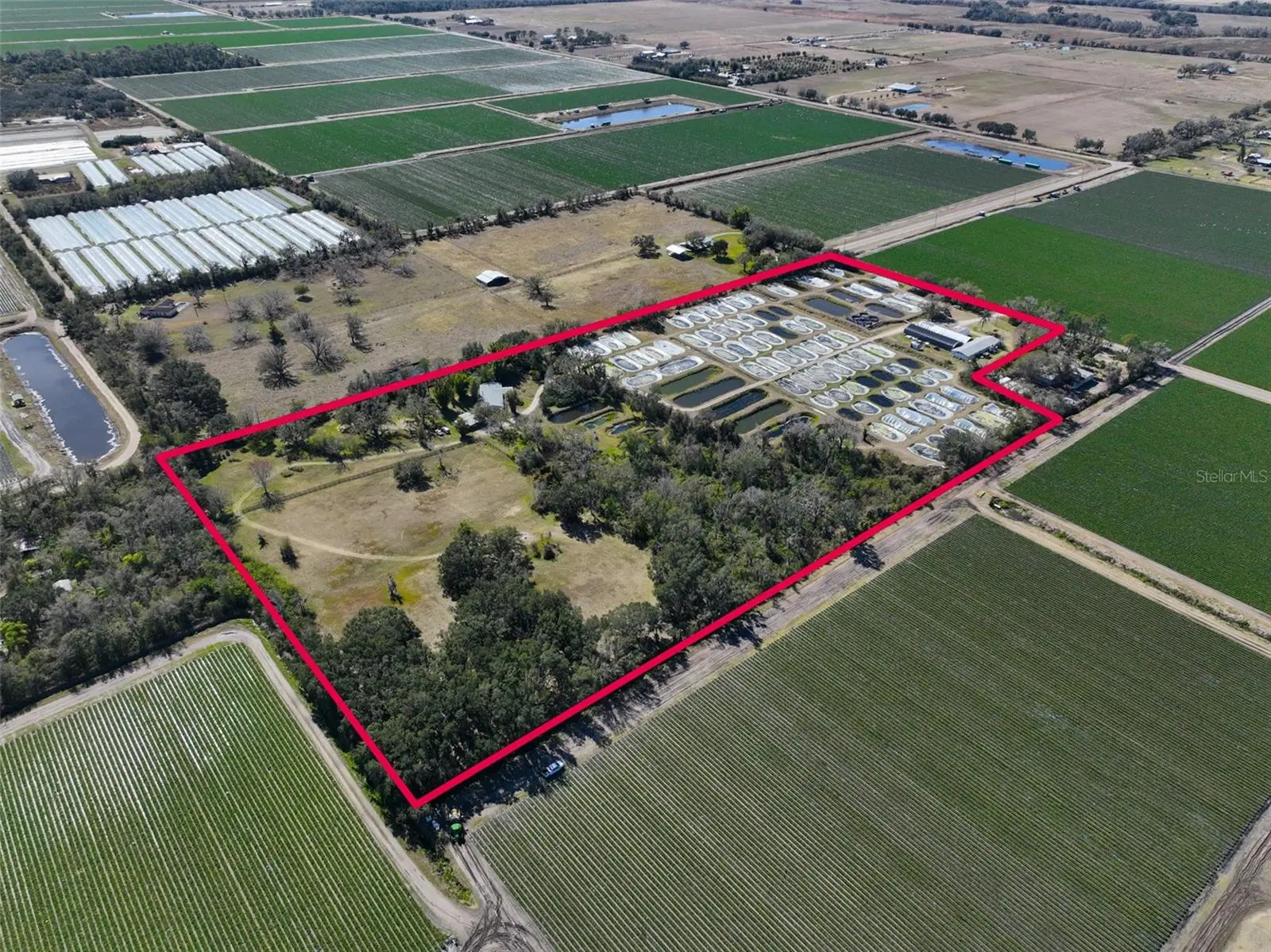 20112 Hobbs Road, FL