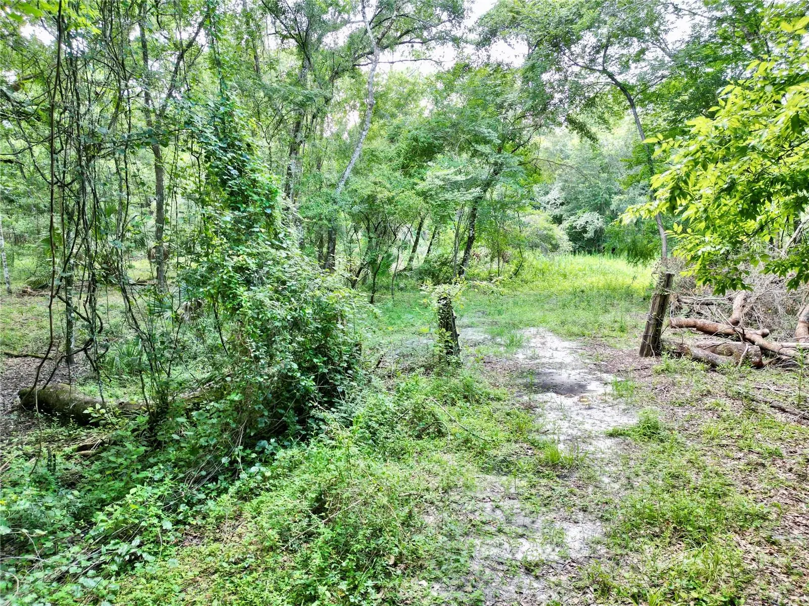 Tbd 31st Way Way, FL