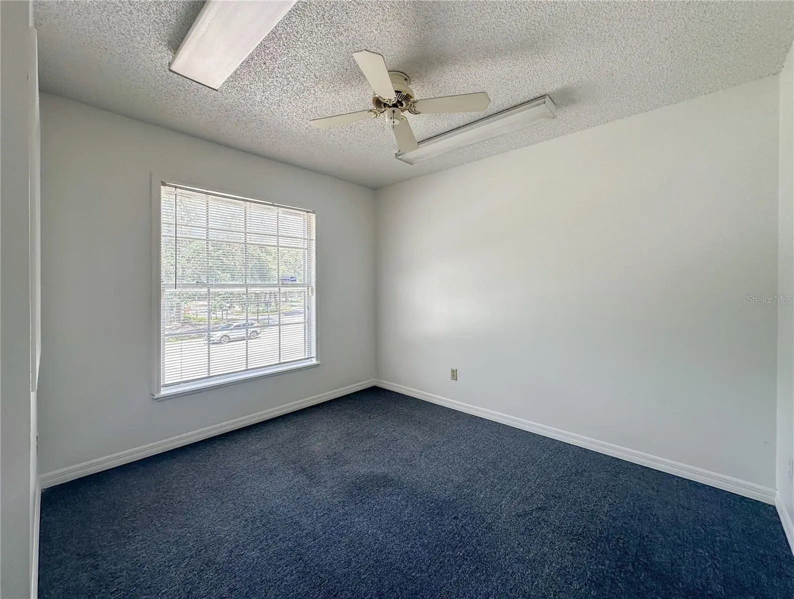 336 Plant Street, FL