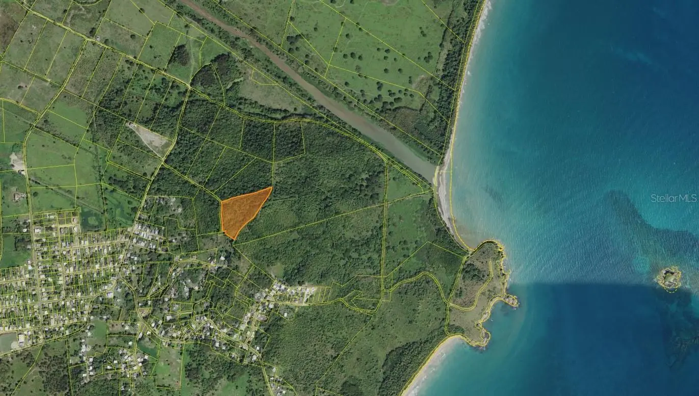 Lot 45 Pr 923 Sect. Vista Alegre, Buena Vista Ward, PR