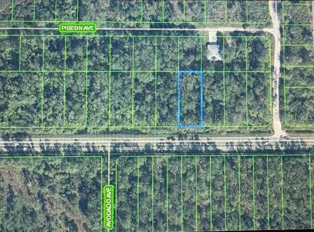 2600 Hammock Road, FL