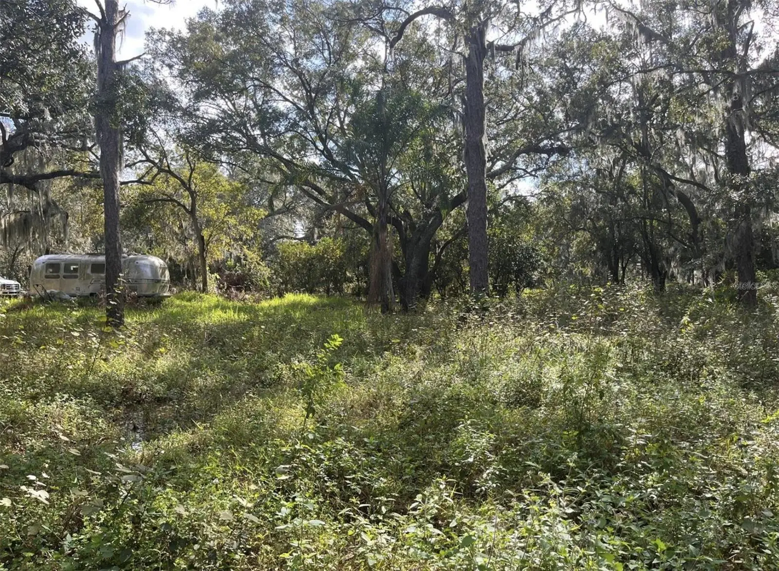 12111 Fred Drive, FL