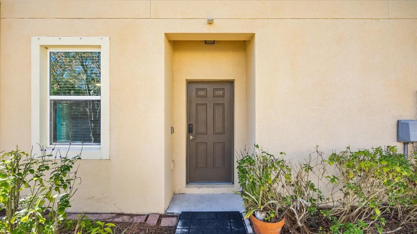12843 Buffalo Run Drive, FL