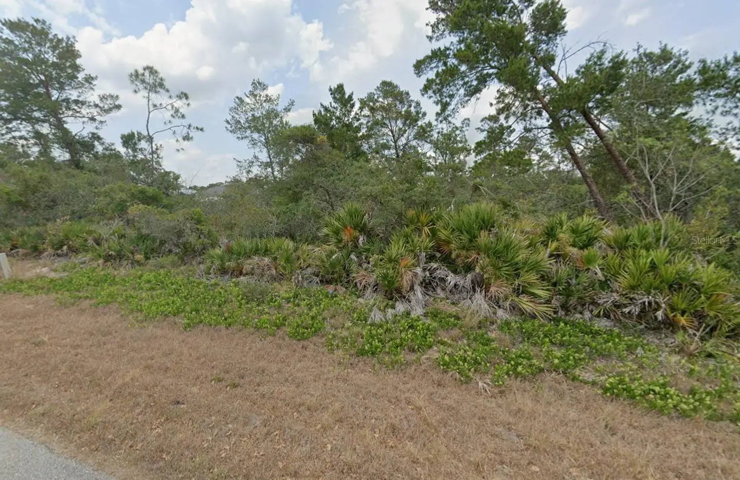 4512 Shamrock Street, FL