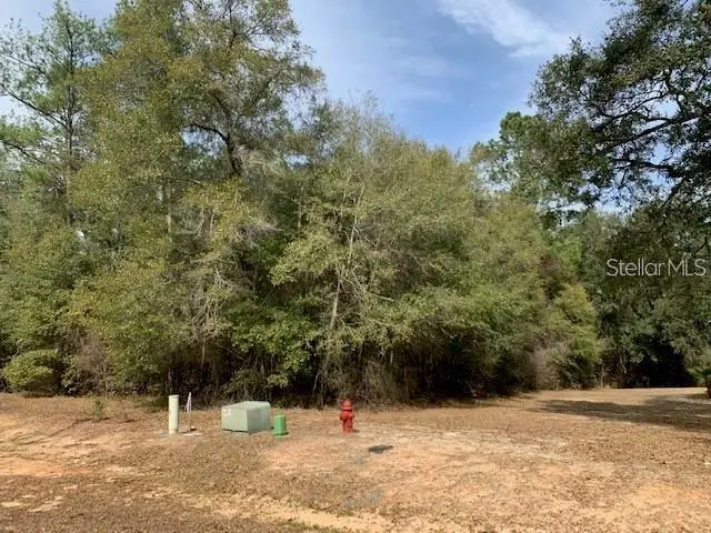 167 Sparkleberry Boulevard, FL