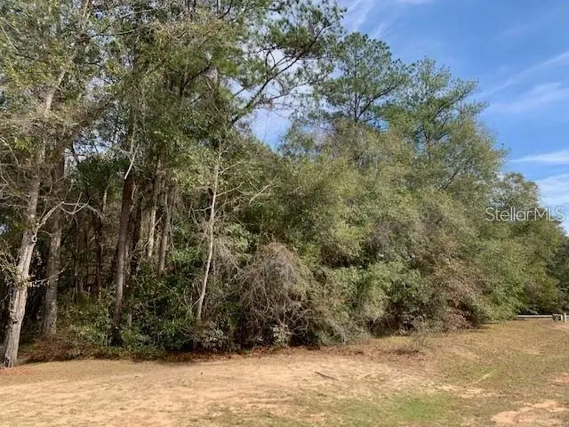 167 Sparkleberry Boulevard, FL