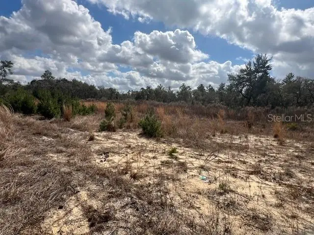 351 Marion Oaks Boulevard, FL