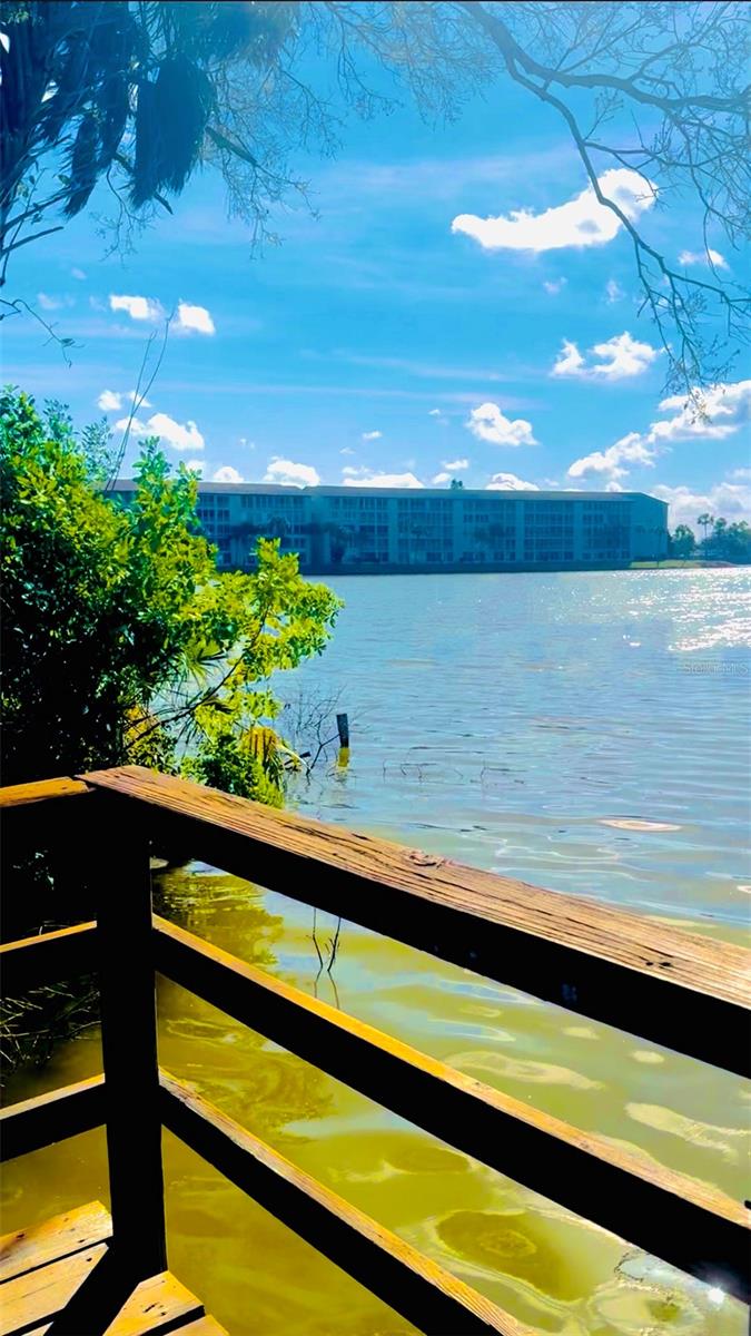 3710 Lake Bayshore Drive, FL
