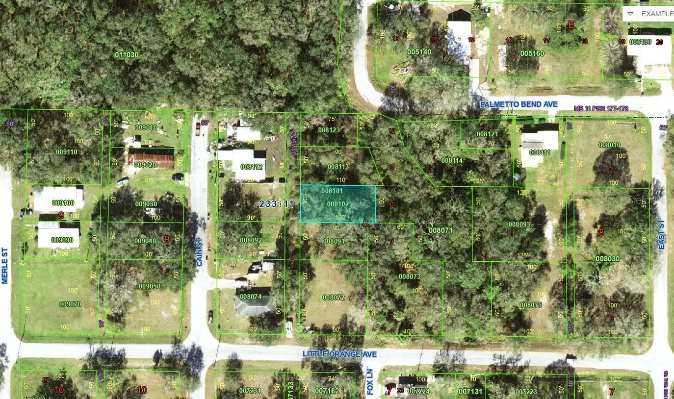 Little Orange Avenue, FL