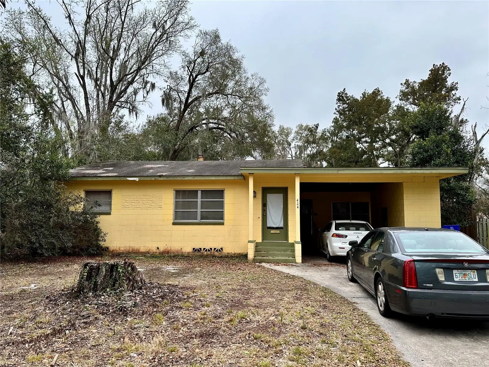 424 Hogle Avenue, FL