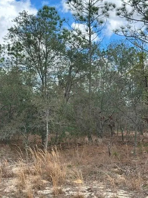 DUNNELLON, FL