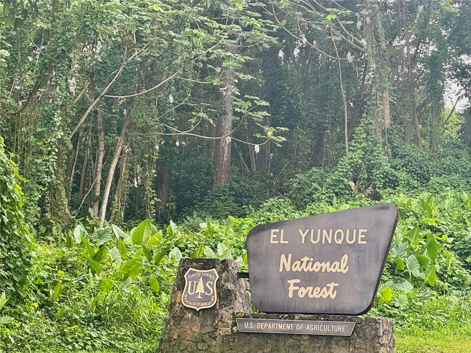 968 Camino Las Picuas, PR