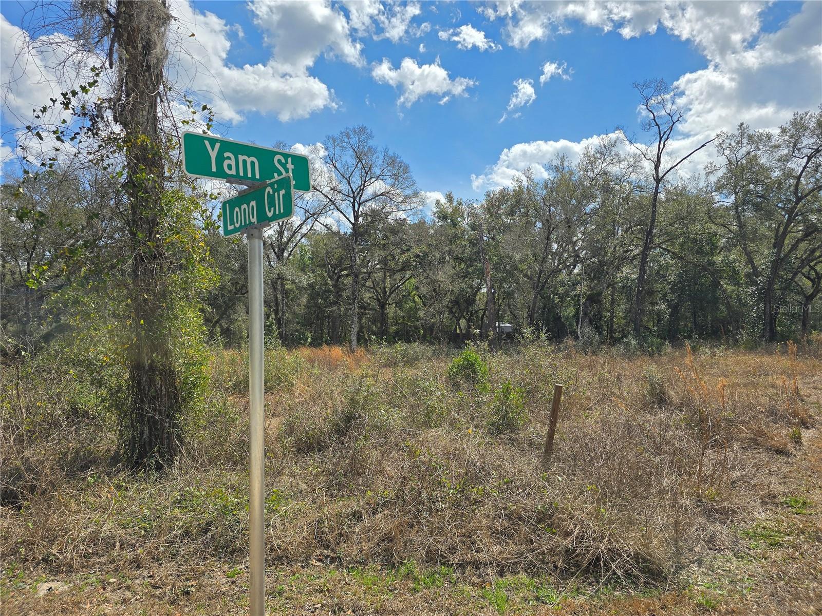6436 Yam Street, FL