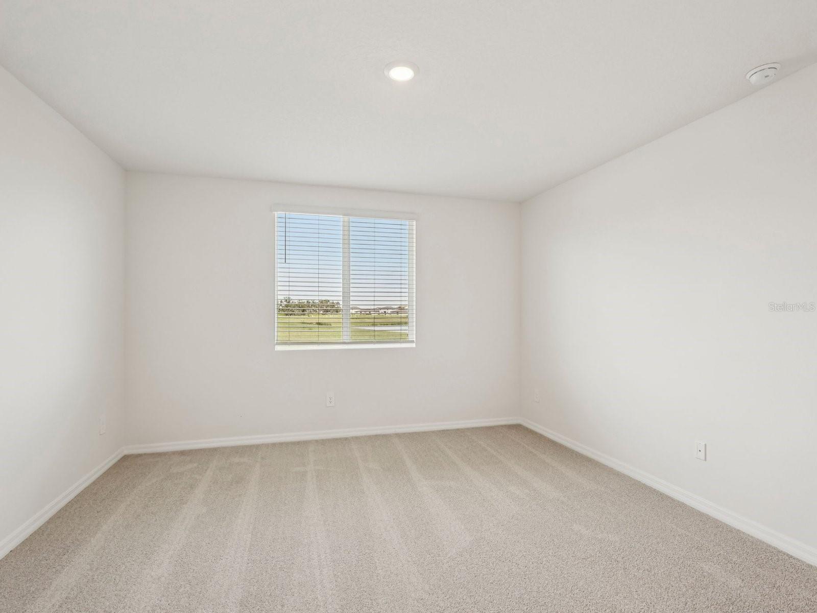 10417 Abundance Grove Way, FL