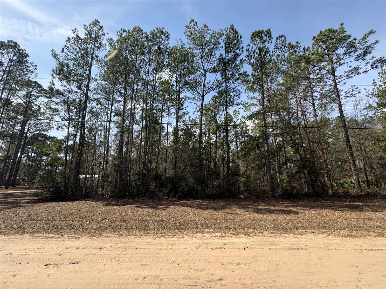 4385 Bondarenko Road, FL