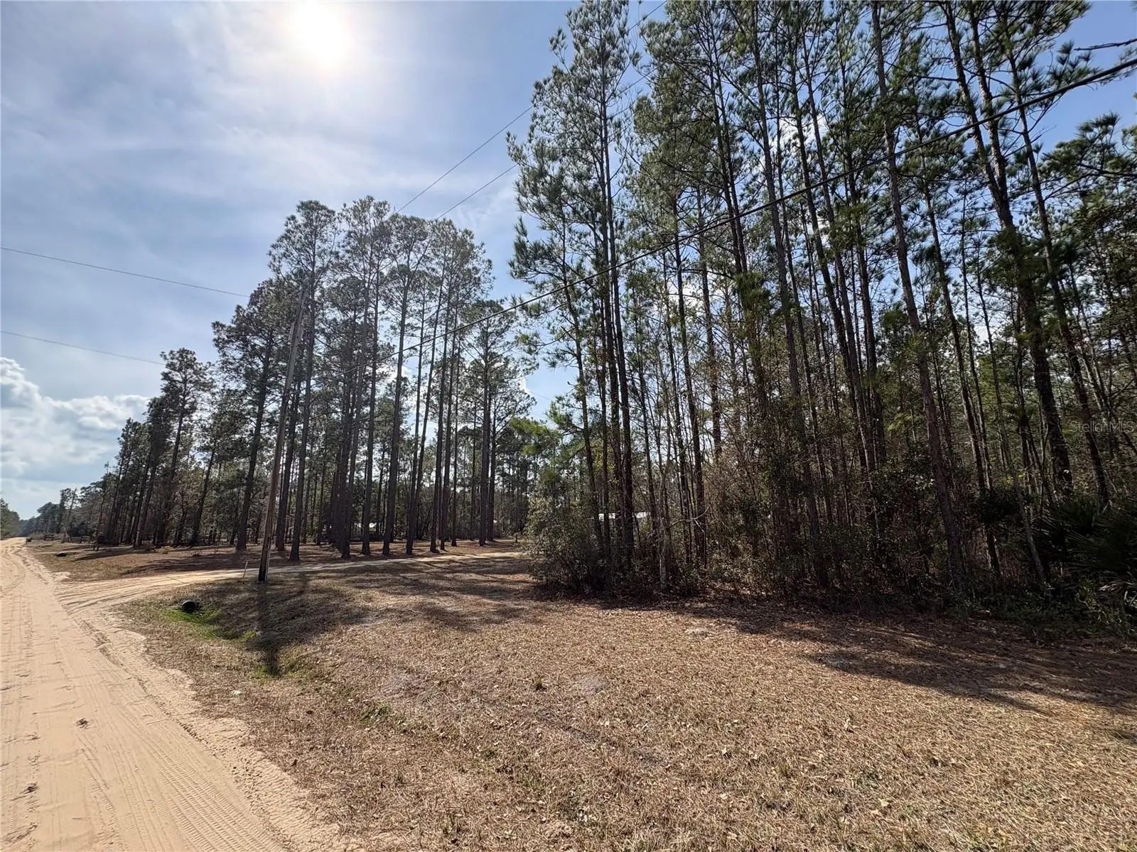 4385 Bondarenko Road, FL