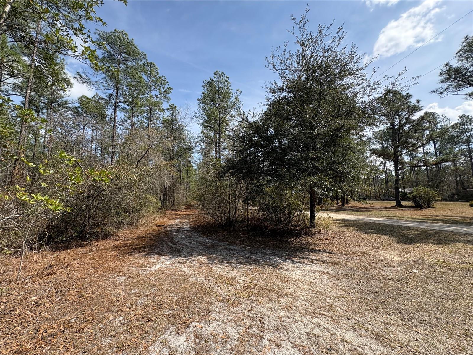 4385 Bondarenko Road, FL