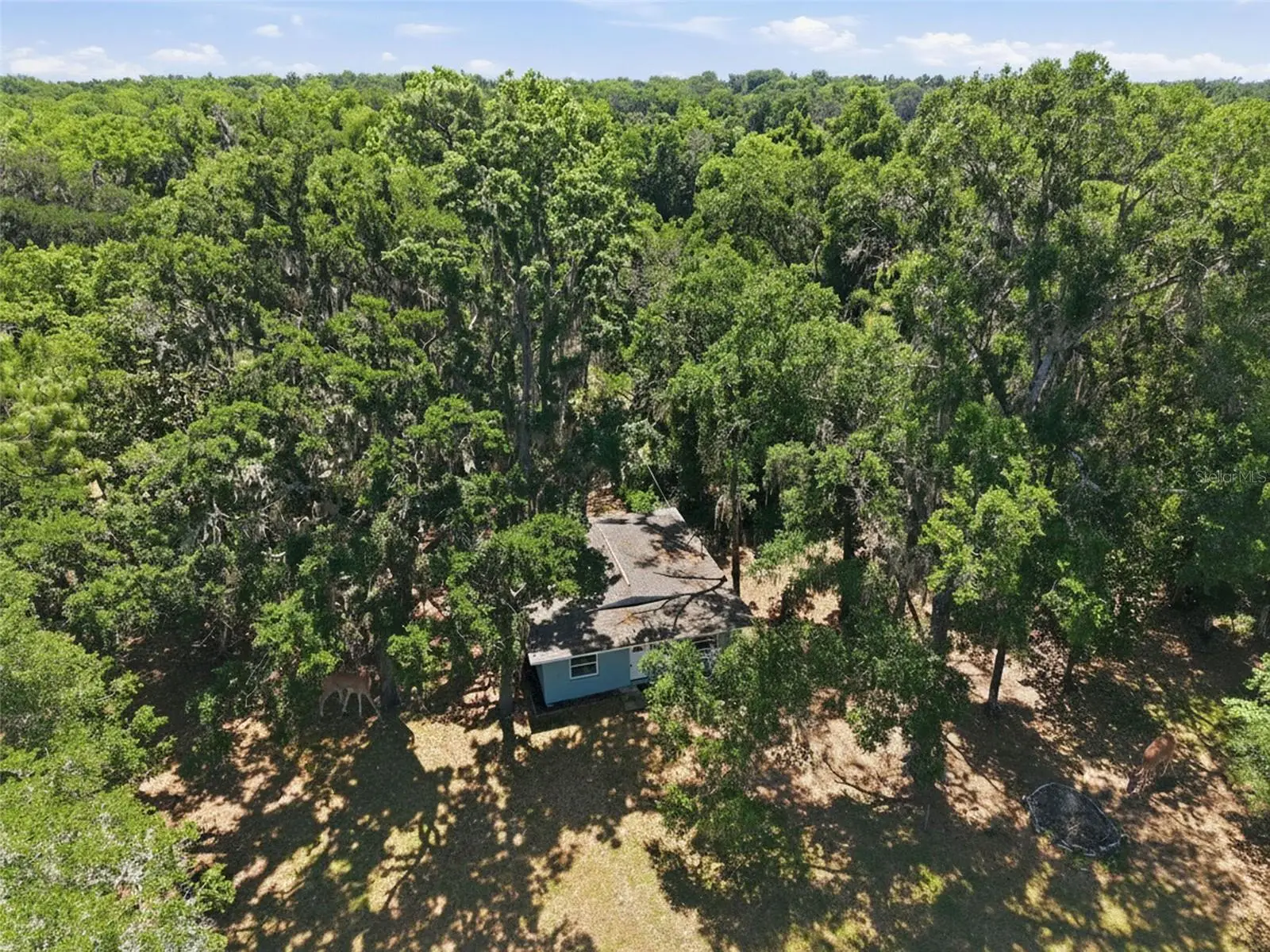 16145 Snow Memorial Highway, FL