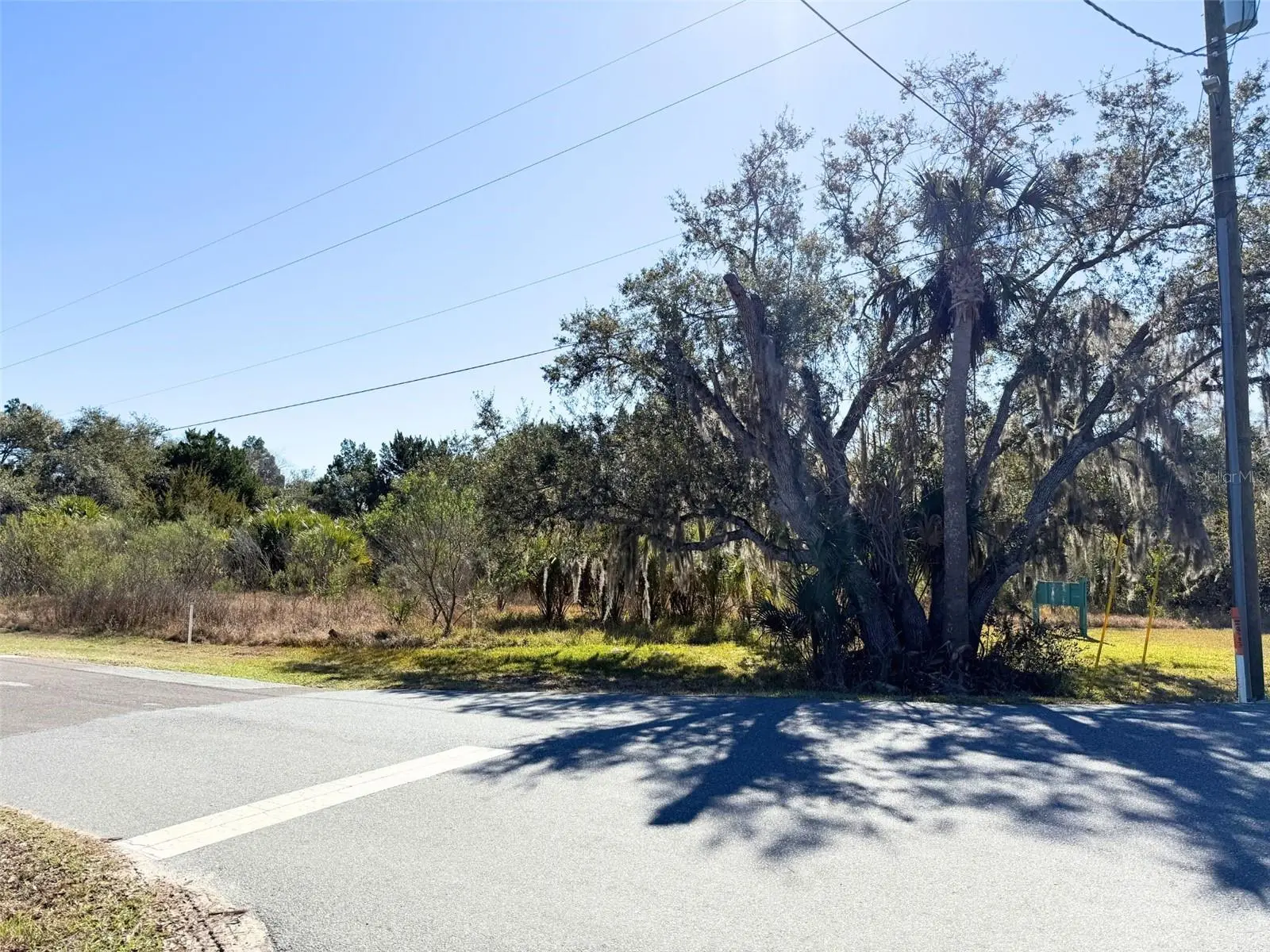 10748 Pine Bark Lane, FL