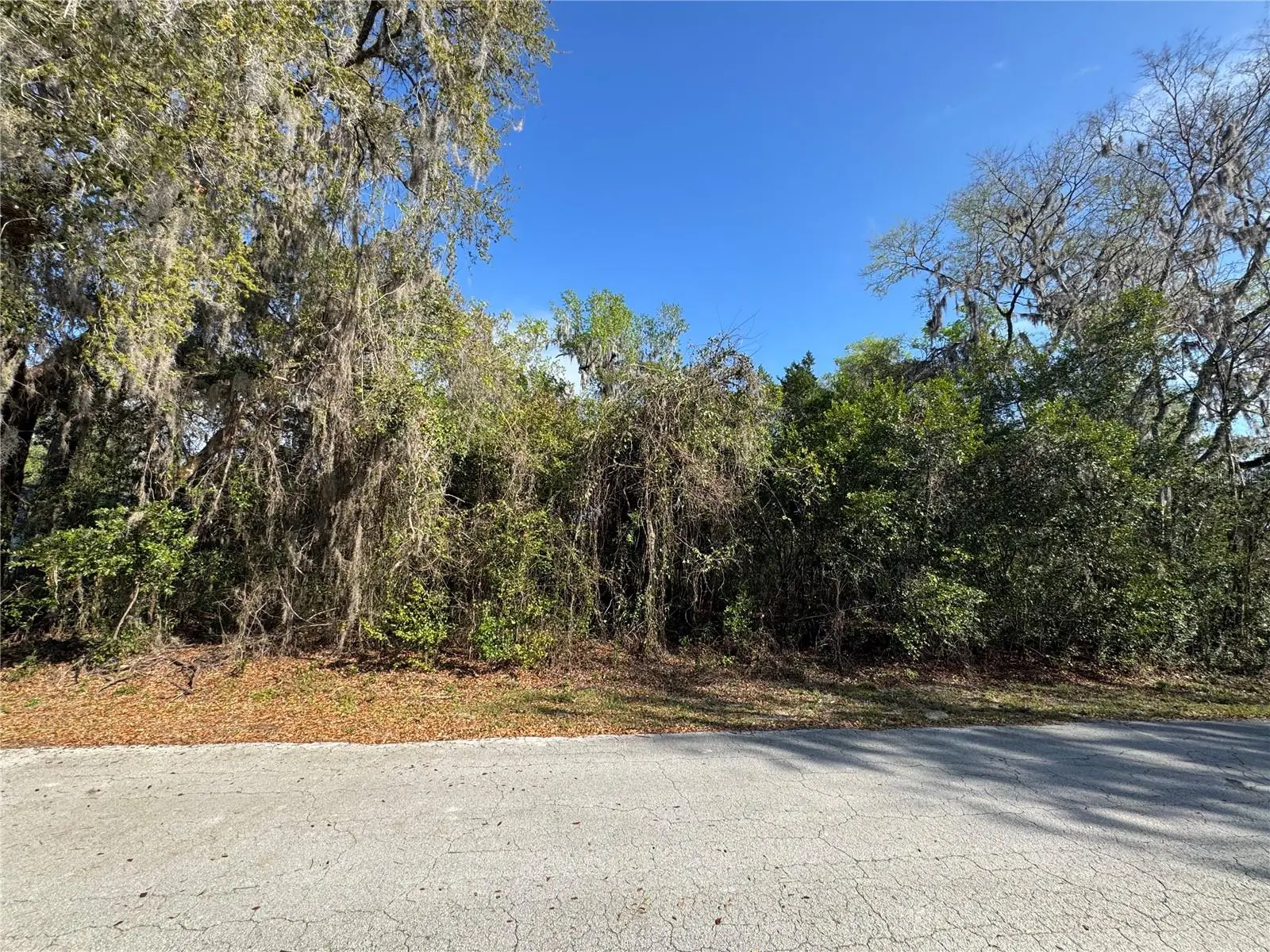 Cr 482c, FL