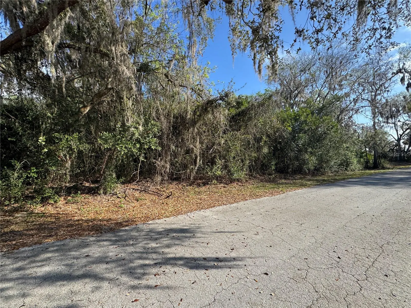 Cr 482c, FL