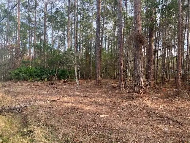 4515 Mahogany Boulevard, FL