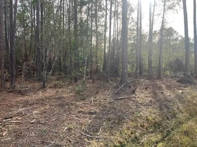 4515 Mahogany Boulevard, FL