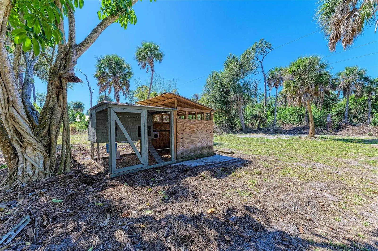 820 Elm Street, FL