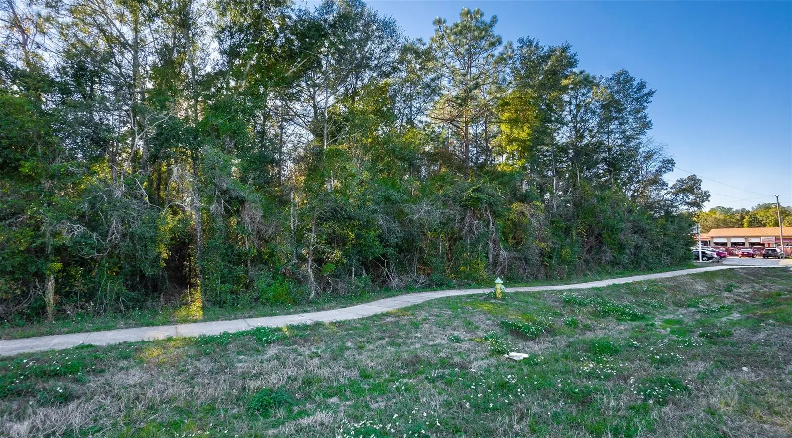 4164 Gulf To Lake Highway, FL