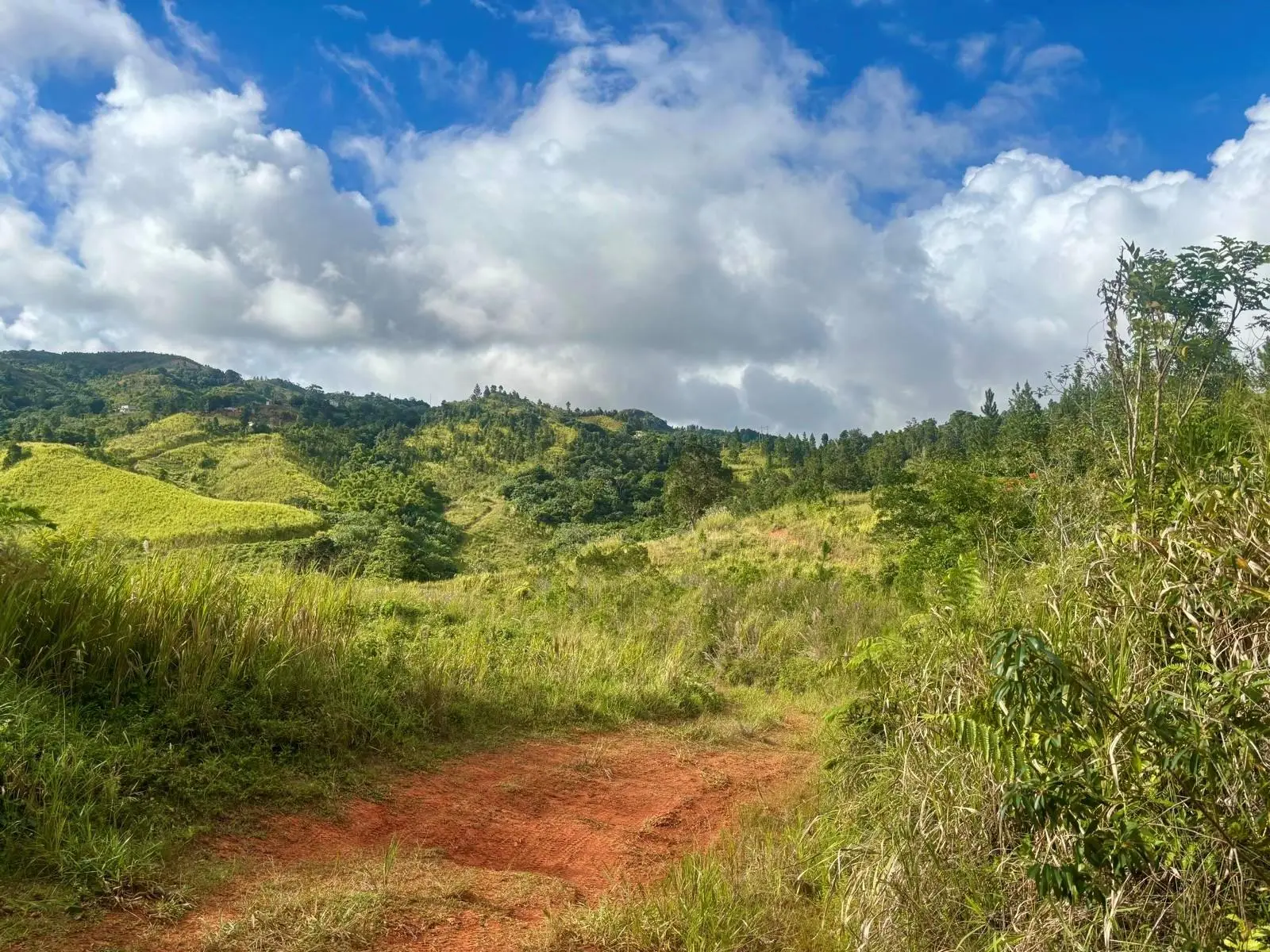 Carr 252 Km.Hm 22.2, PR