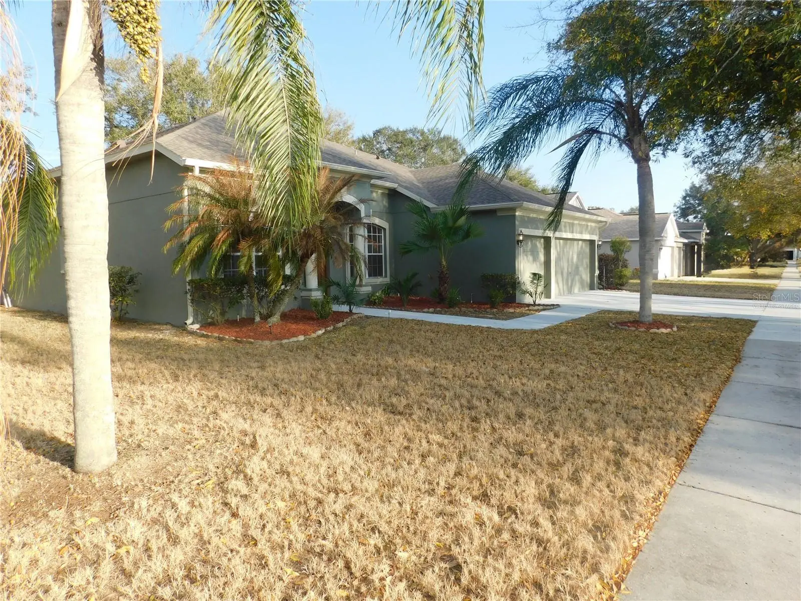 12902 Cattail Shore Lane, FL